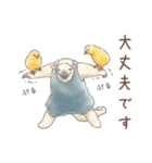 丁寧な♢パンダとコアリクイ（個別スタンプ：11）
