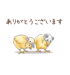 丁寧な♢パンダとコアリクイ（個別スタンプ：27）