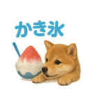 リアルすぎる豆柴！夏に使いたい柴犬編（個別スタンプ：5）