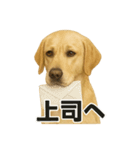 リアルすぎ！ラブラドールレトリバー仕事編（個別スタンプ：11）