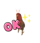 きいちゃんの日常会話スタンプ（個別スタンプ：2）