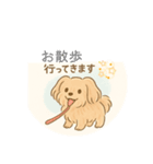シフォンちゃんの日常2（個別スタンプ：1）