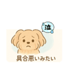 シフォンちゃんの日常2（個別スタンプ：2）