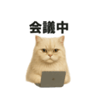 リアルすぎる！ペルシャ猫のお仕事スタンプ（個別スタンプ：1）