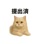 リアルすぎる！ペルシャ猫のお仕事スタンプ（個別スタンプ：5）