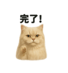リアルすぎる！ペルシャ猫のお仕事スタンプ（個別スタンプ：6）