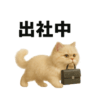 リアルすぎる！ペルシャ猫のお仕事スタンプ（個別スタンプ：9）