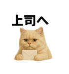 リアルすぎる！ペルシャ猫のお仕事スタンプ（個別スタンプ：14）