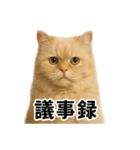 リアルすぎる！ペルシャ猫のお仕事スタンプ（個別スタンプ：15）