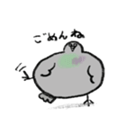 楽しい日常会話のハト（個別スタンプ：7）