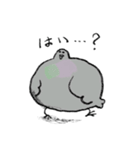楽しい日常会話のハト（個別スタンプ：15）