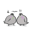 楽しい日常会話のハト（個別スタンプ：19）