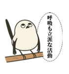 オテテエナガ【むきりょく個体】（個別スタンプ：13）
