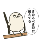 オテテエナガ【むきりょく個体】（個別スタンプ：36）