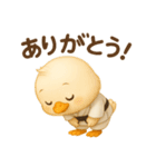 空手っ子まるんの、かわいい日常スタンプ！（個別スタンプ：3）