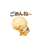 空手っ子まるんの、かわいい日常スタンプ！（個別スタンプ：4）