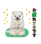 いつでも使える♡日本スピッツ（個別スタンプ：10）
