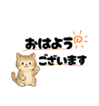 丁寧な毎日ねこさん（個別スタンプ：1）
