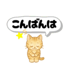 丁寧な毎日ねこさん（個別スタンプ：3）