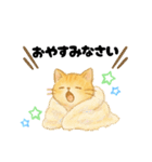 丁寧な毎日ねこさん（個別スタンプ：4）