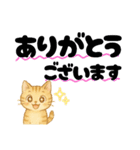 丁寧な毎日ねこさん（個別スタンプ：6）