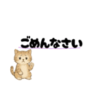 丁寧な毎日ねこさん（個別スタンプ：12）