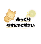 丁寧な毎日ねこさん（個別スタンプ：13）