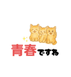 丁寧な毎日ねこさん（個別スタンプ：28）