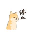 わいわい3しばちゃん2（個別スタンプ：9）