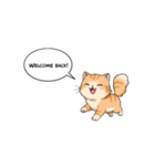 子猫の一言イラスト編-4（個別スタンプ：4）