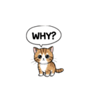 子猫の一言イラスト編-4（個別スタンプ：12）