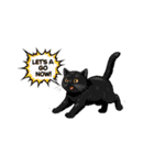 子猫の一言イラスト編-4（個別スタンプ：15）