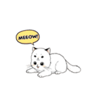 子猫の一言イラスト編-4（個別スタンプ：17）