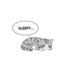 子猫の一言イラスト編-4（個別スタンプ：24）
