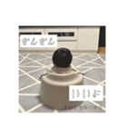 りぃちゃんは今日も可愛いらぶちゅ（個別スタンプ：15）