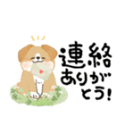 毎日つかえる♡にっこり犬と筆文字【再販】（個別スタンプ：14）