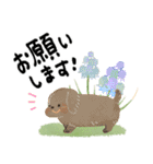毎日つかえる♡にっこり犬と筆文字【再販】（個別スタンプ：20）