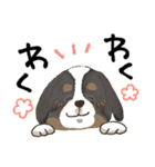毎日つかえる♡にっこり犬と筆文字【再販】（個別スタンプ：31）