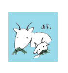 パカまゆちゃん（個別スタンプ：10）