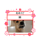こむぎのおしょうがつスタンプ（個別スタンプ：5）