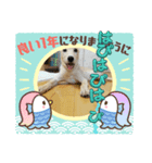こむぎのおしょうがつスタンプ（個別スタンプ：7）