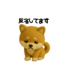 柴犬の一年中使えるスタンプ(羊毛)（個別スタンプ：12）