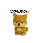 柴犬の一年中使えるスタンプ(羊毛)（個別スタンプ：13）