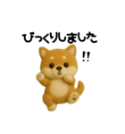柴犬の一年中使えるスタンプ(羊毛)（個別スタンプ：23）