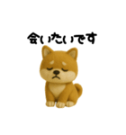 柴犬の一年中使えるスタンプ(羊毛)（個別スタンプ：37）