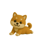 柴犬の一年中使えるスタンプ(羊毛)（個別スタンプ：40）