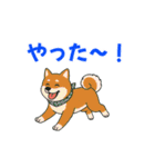 リュックの日常スタンプ（個別スタンプ：20）
