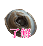 会話するアワビのスタンプ【刺身・美味い】（個別スタンプ：2）