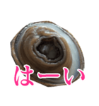 会話するアワビのスタンプ【刺身・美味い】（個別スタンプ：3）