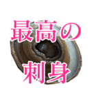 会話するアワビのスタンプ【刺身・美味い】（個別スタンプ：6）